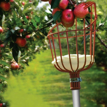Fruit Picker Basket Extension Pole Tool for Picking Fresh Orange PeachFruit