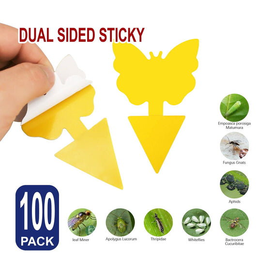 100X Dual Side Sticky Insect Trap Catcher Killer